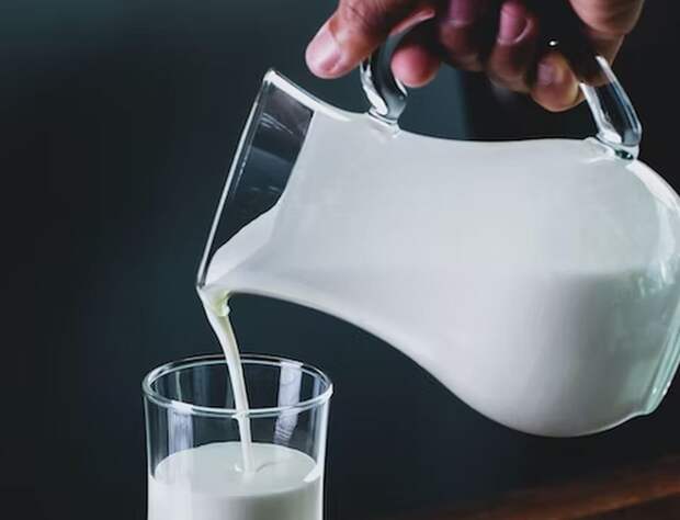 Врач Фролова: яйца и молоко входят в число наиболее богатых белком продуктов
