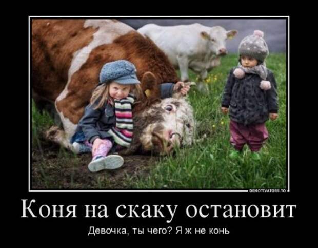 1382682847_demotivatory-3