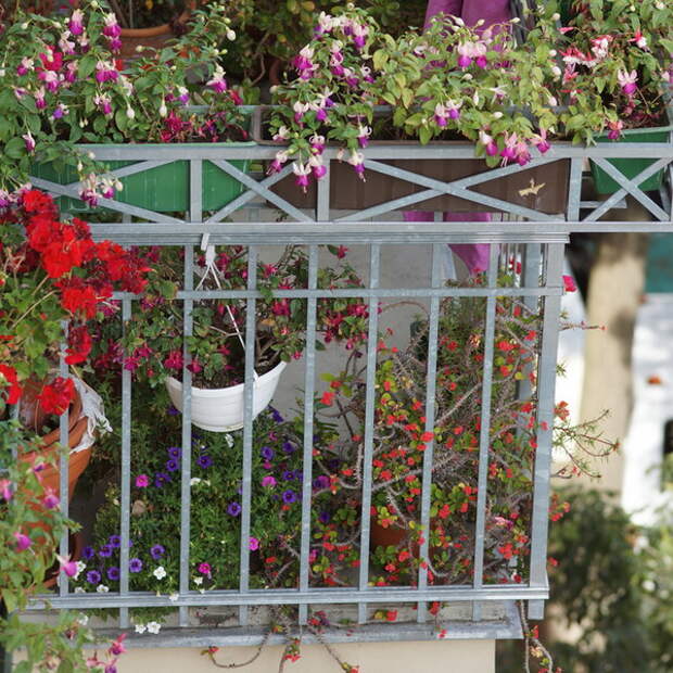 flowers-on-balcony-details3.jpg