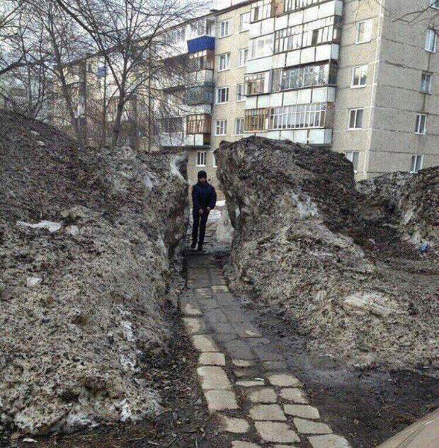 Подборка прикольных картинок