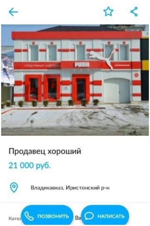 Нелепые и смешные резюме в Интернете