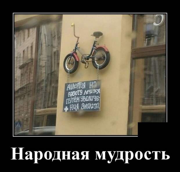 Демотиваторы (30 фото)