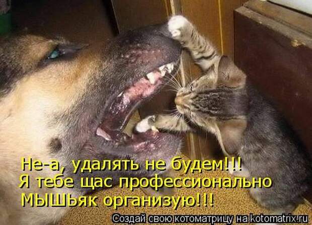 Мысли вслух :)