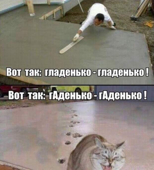 Прикольные фотомемы (28 шт)
