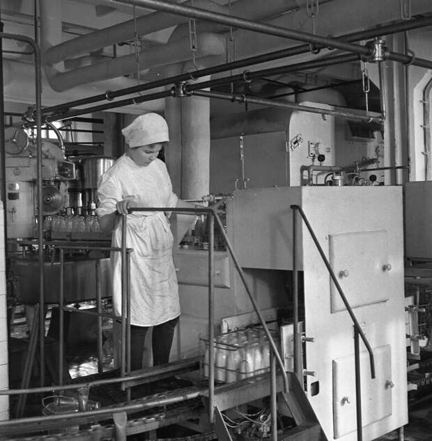 Перерабатывали 180 тонн молока в смену: фотоистория уссурийского молокозавода