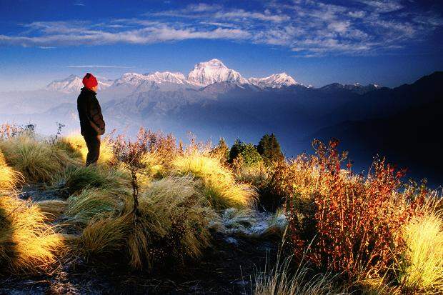 Фото: SoloShot @facebook.com