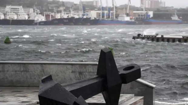 В Приморье два человека погибли из-за ЧП с плавкраном