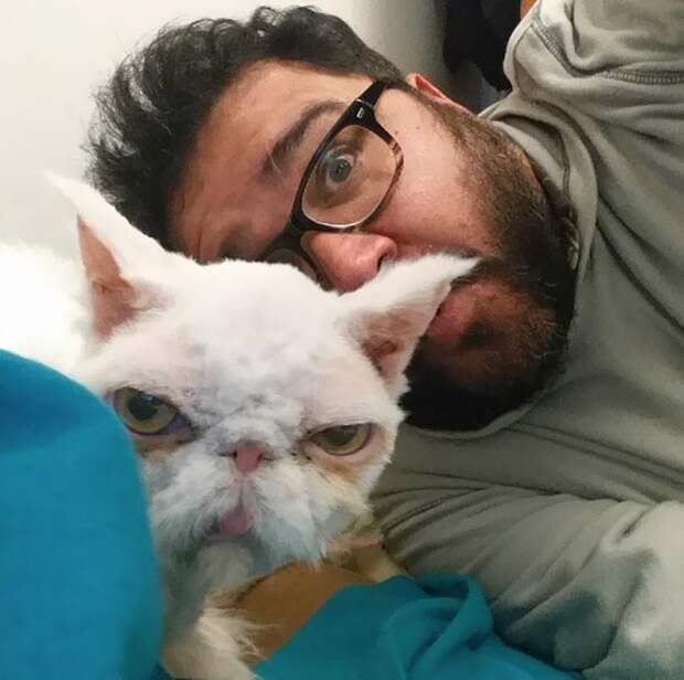 Невероятное преображение кота, который чуть не умер под тяжестью собственной шерсти