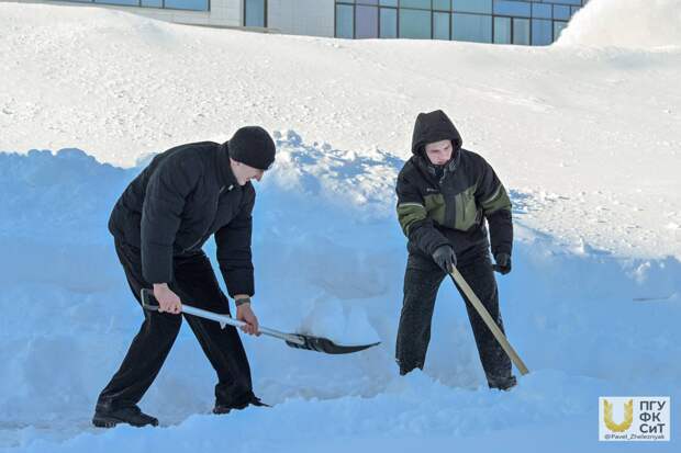 Студенты и сотрудники Поволжского университета подключились к плану «Буран»