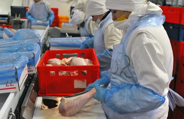 Россия захватила рынок импортной индейки одной из стран БРИКС