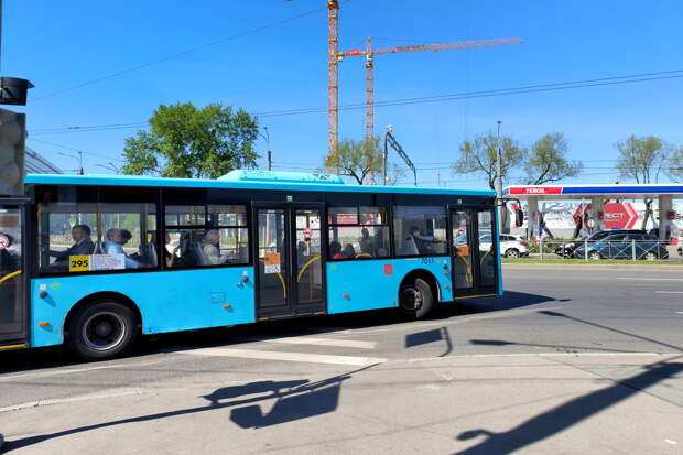 Из Кузбасса запустят пять новых автобусных рейсов до озера Яровое