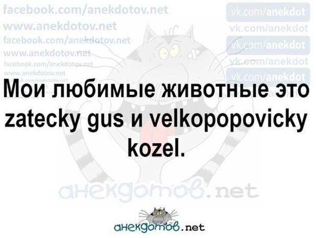 Анекдоты - лучшее от "анекдотовнет" Анекдоты - лучшее от "анекдотовнет"