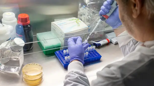 В Челябинской области прокомментировали ситуацию с COVID-19