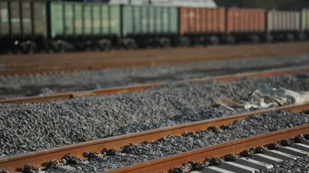 В Хабаровском крае локомотив насмерть сбил амурского тигра