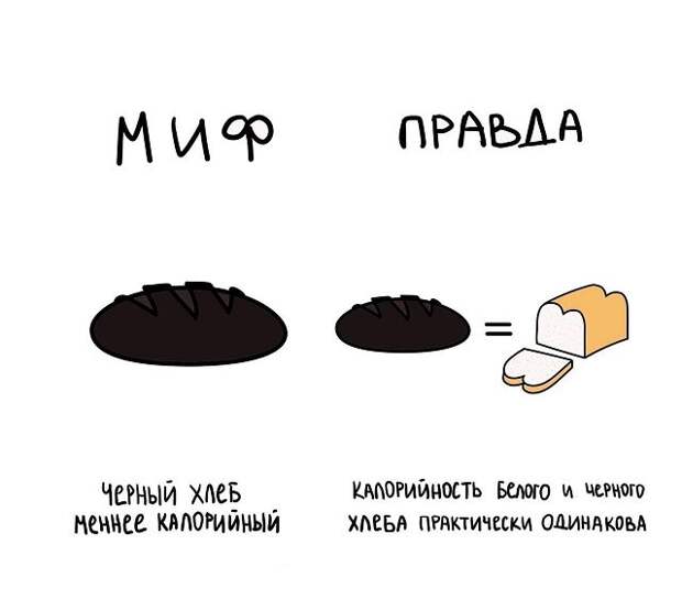 Короткие интересные факты обо всём