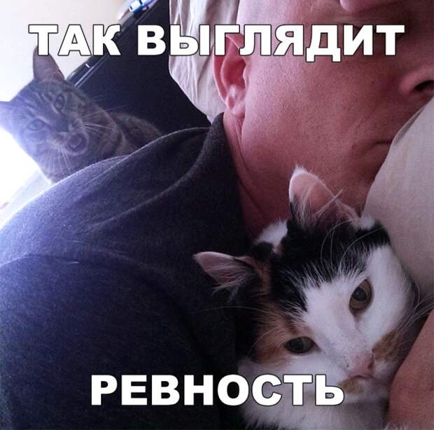 Подборка прикольных картинок