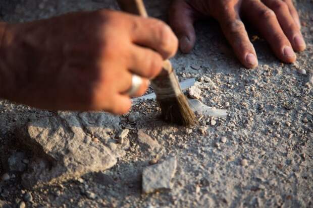 В курганах Хакасии нашли сюжетные петроглифы, позволяющие уточнить их датировку