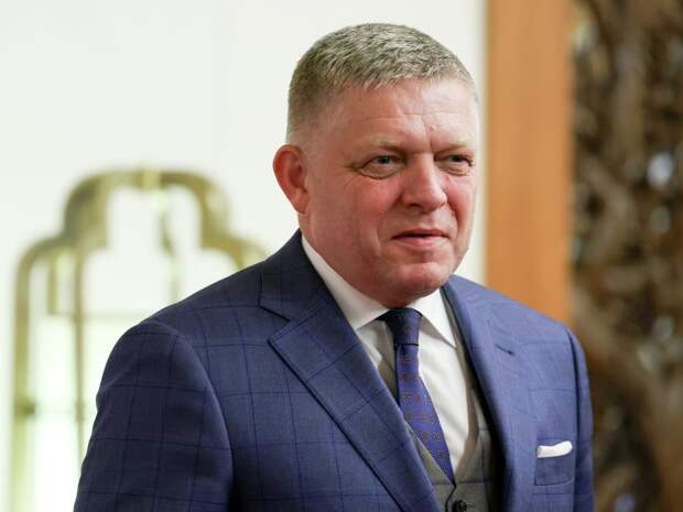 Сикорский заявил, что вопрос с пролетом Фицо в Россию через Польшу решен