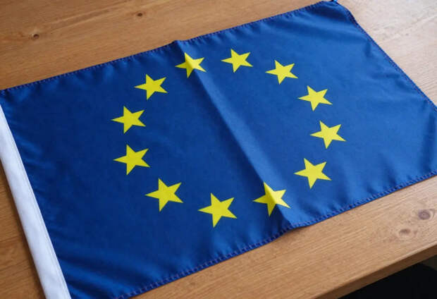 Профессор Петро: сохранение остатков Украины в ЕС сочтут её победой