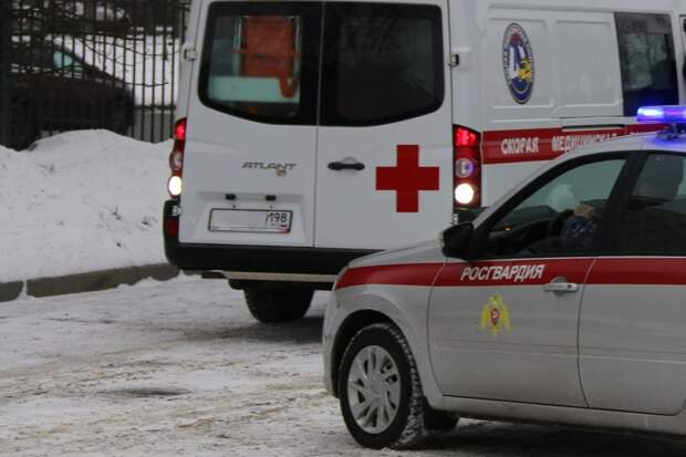 Росгвардия: пьяный петербуржец вызвал скорую и напал на врача