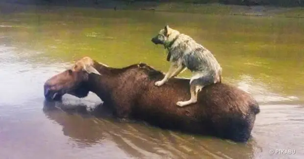  ,  !    
