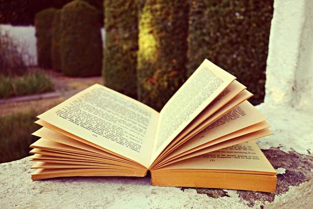 Книга. Фото: pixabay.com