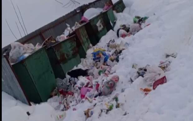 Рязанцы массово жалуются на проблемы с вывозом мусора