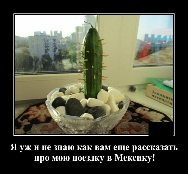 Демотиваторы (20 фото)