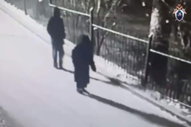 ТАСС: похищение 14-летнего подростка в Красноярске не связано с бизнесом отца