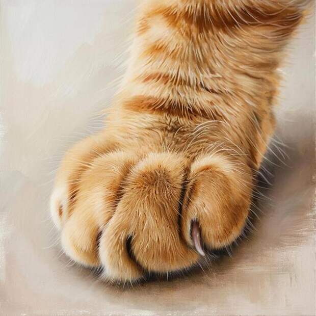 Российского кота признали самым красивым в мире