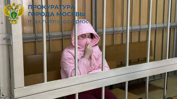 Студентка попала под стражу за попытку убить лже-иноагента по заданию кураторов