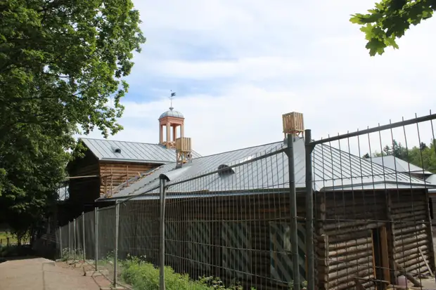 "Тянутся сосны в прозрачное небо, глыбы гранита заснули давно..." Парк Монрепо в Выборге