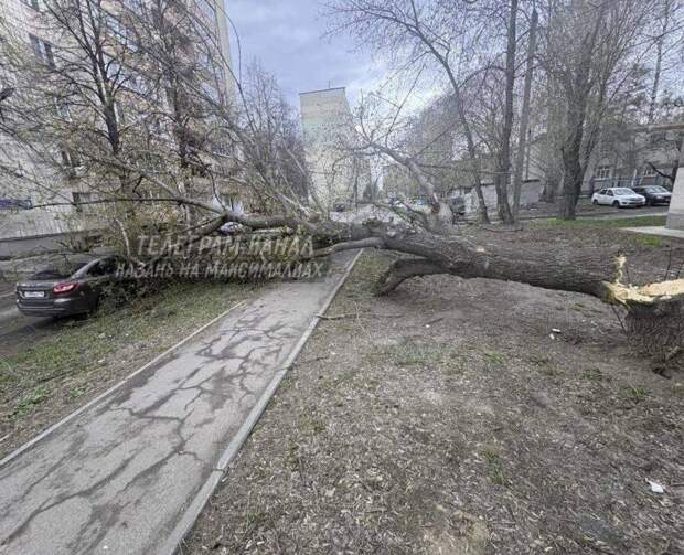 Казанда давыл: чыбыклар өзелгән, машина өстенә агач ауган, КФУда тәрәзәләр ватылган