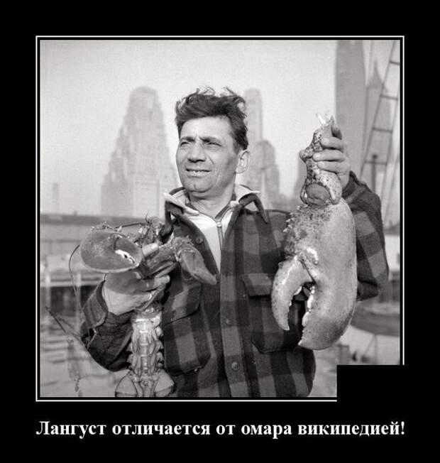 Демотиватор про лангуста