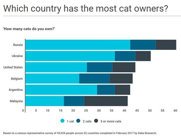 Россия оказалась на первом месте в мире по количеству кошковладельцев