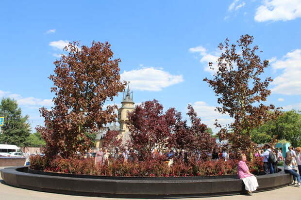 Сад  у метро Краснопресненская