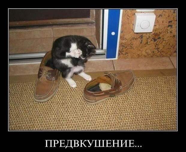 Прикольные демотиваторы для веселья (11 фото) Прикольные демотиваторы для веселья (11 фото)