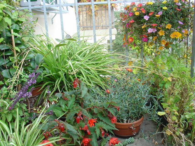 flowers-on-balcony-details4.jpg