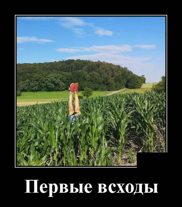 www.vsyako.net