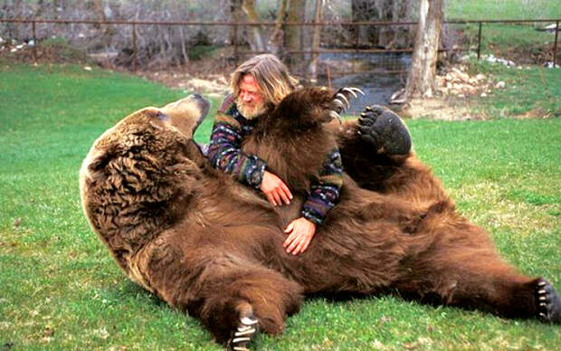 20 животов, которые надо немедленно почесать