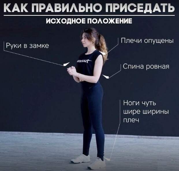 Приседания лечат! Одно из основных упражнений, помогающих сердцу Приседания лечат! Одно из основных упражнений, помогающих сердцу