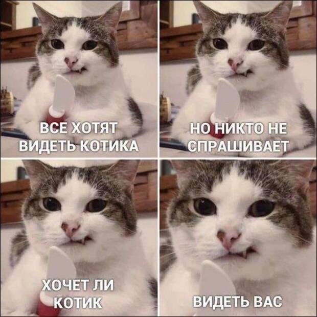 Новые прикольные картинки дня!!!