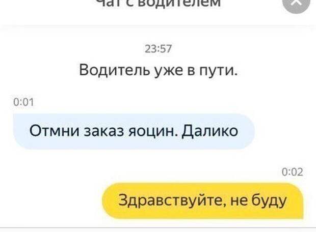 205083_2_trinixy_ru.jpg