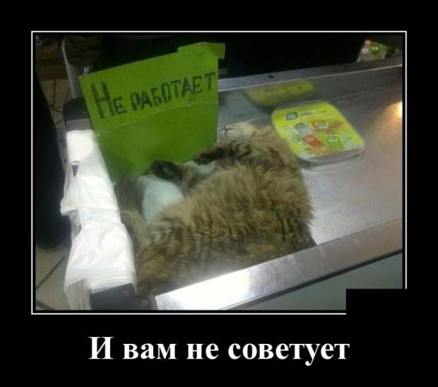 Демотиваторы (30 фото)