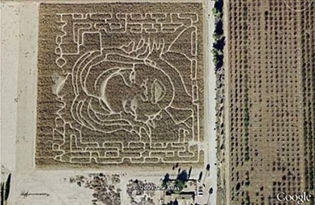 7. Кукурузный лабиринт, изображающий лицо Опры Уинфри Google Карты, вокруг света, интересное, открытия