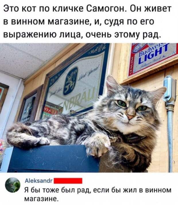 Прикольные картинки абавсём:D