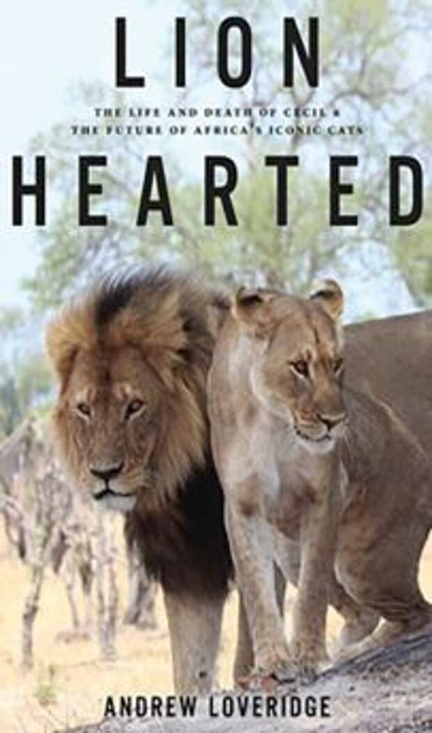 Lion Book