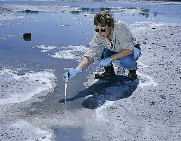 G3650016-Astrobiology.jpg