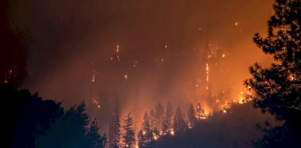 Пожароопасный сезон начался в Алтайском крае