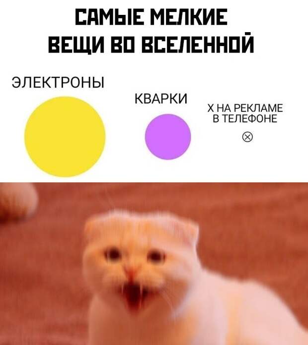www.vsyako.net